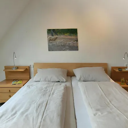 Hébergement de vacances Um Sued Inselrose Langeoog